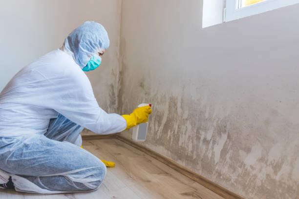 Bathroom Mold Removal assessment in Chesapeake bathroom